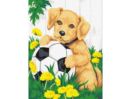 A puppy with a ball paint by numbers