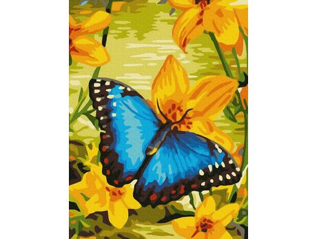 Blue butterfly paint by numbers