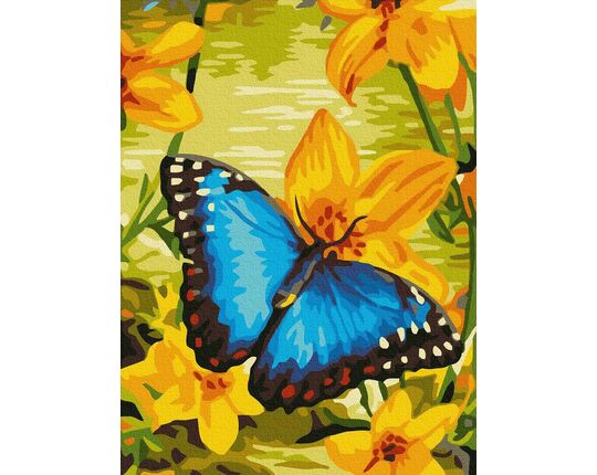 Blue butterfly paint by numbers