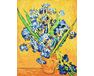 Irises. Van Gogh 40x50cm paint by numbers