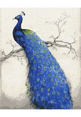 Peacock 40x50cm