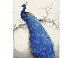 Peacock 40x50cm