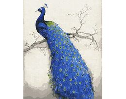 Peacock 40x50cm