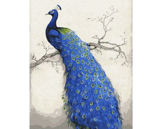 Peacock 40x50cm paint by numbers