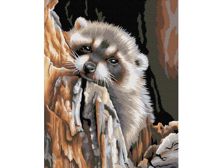 A sweet raccoon paint by numbers
