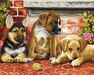 Three puppies paint by numbers