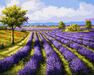 Lavender field paint by numbers