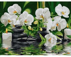 Orchids in the calm water 30x40cm