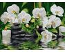 Orchids in the calm water 30x40cm paint by numbers