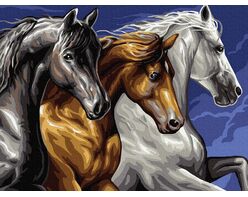 Three horses