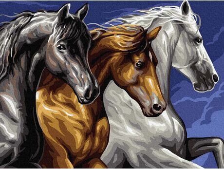 Three horses paint by numbers