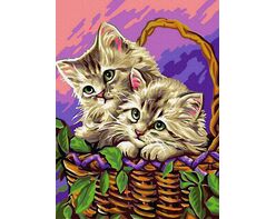 Cats in basket