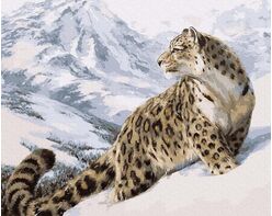 Snow Leopard 40x50cm