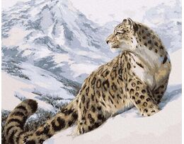 Snow Leopard 40x50cm
