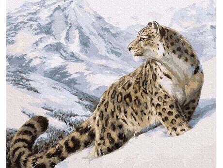Snow Leopard 40x50cm paint by numbers