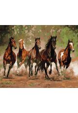 Horse gallop 40x50cm