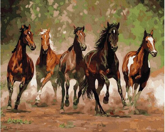 Horse gallop 40x50cm paint by numbers