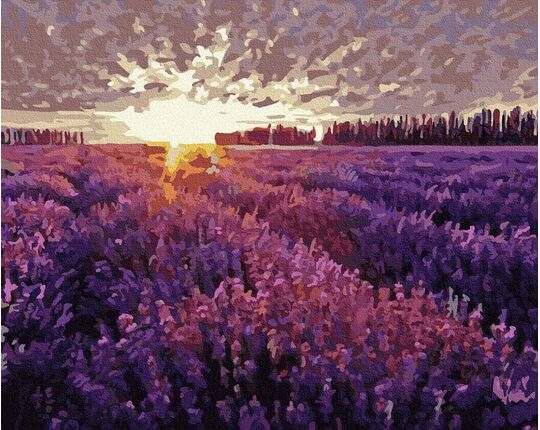 Sunset over the lavender field 40x50cm paint by numbers