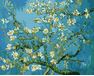 Flowering Almonds, Van Gogh paint by numbers
