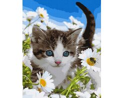 Kitten in the field of camomiles