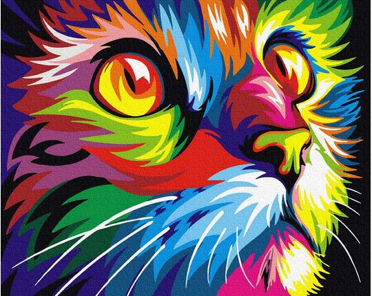 Rainbow cat paint by numbers