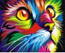 Rainbow cat paint by numbers