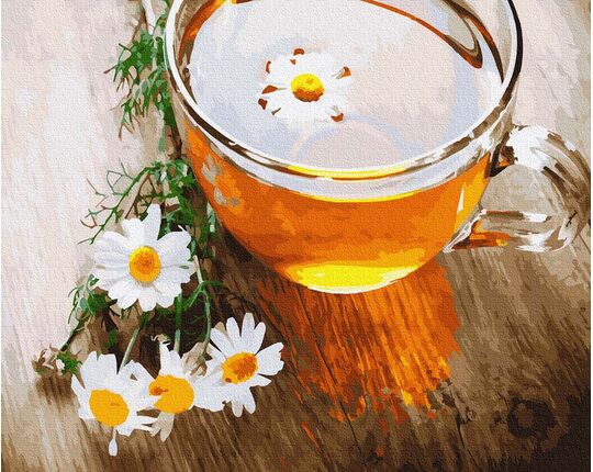 Camomile aroma paint by numbers