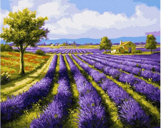Lavender field 50x65cm paint by numbers