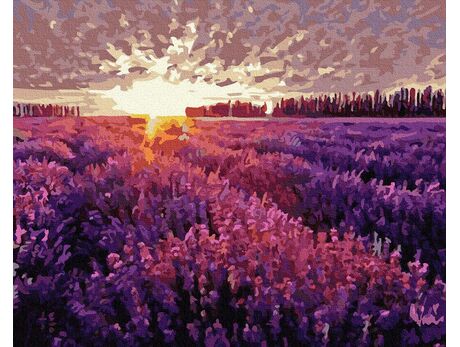 Sunset over the lavender field paint by numbers