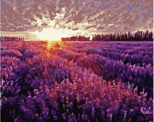 Sunset over the lavender field 50x65cm paint by numbers
