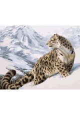 Snow Leopard 50x65cm