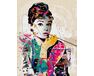 Audrey Hepburn paint by numbers