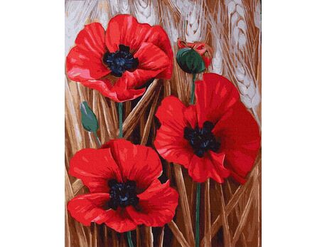 Scarlet poppies paint by numbers