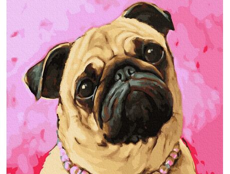 Cutie pug paint by numbers