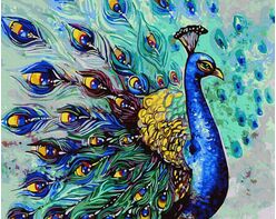 Handsome peacock
