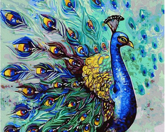 Handsome peacock paint by numbers