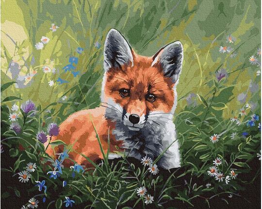 Fox in the grass paint by numbers