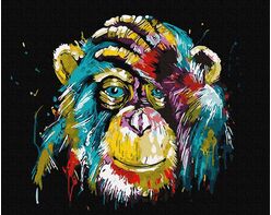 Rainbow chimpanzee