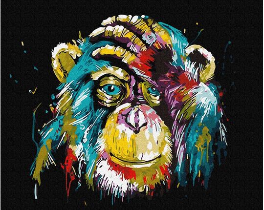 Rainbow chimpanzee paint by numbers