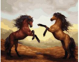 Unbridled stallions
