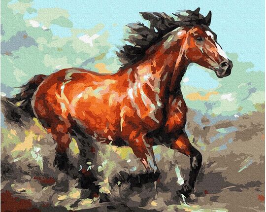 Rampant gallop paint by numbers
