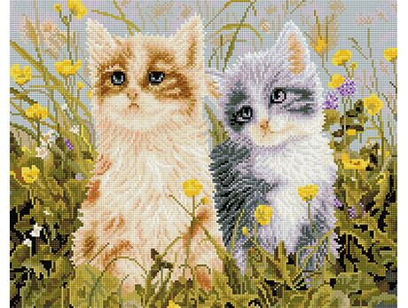 Funny cats diamond painting