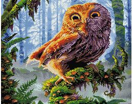 Wize owl