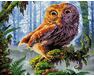 Wize owl diamond painting