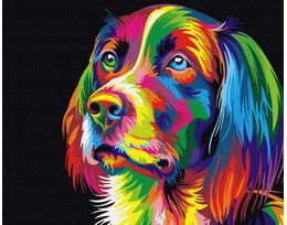 Colorful grace of the dog 40x50cm