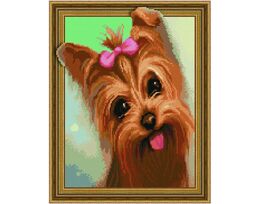 Cute yorkshire terrier