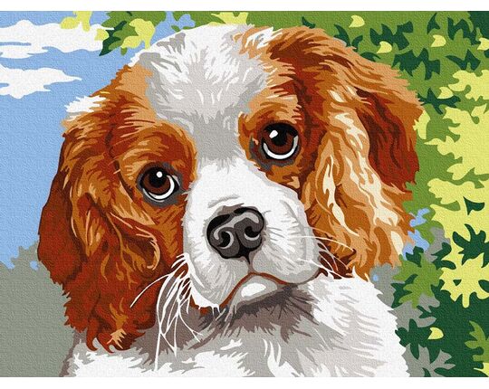 Sweet Spaniel paint by numbers