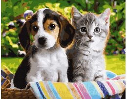 Childhood friendship