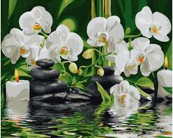 Orchids in quiet water 40x50cm