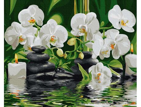 Orchids in quiet water paint by numbers